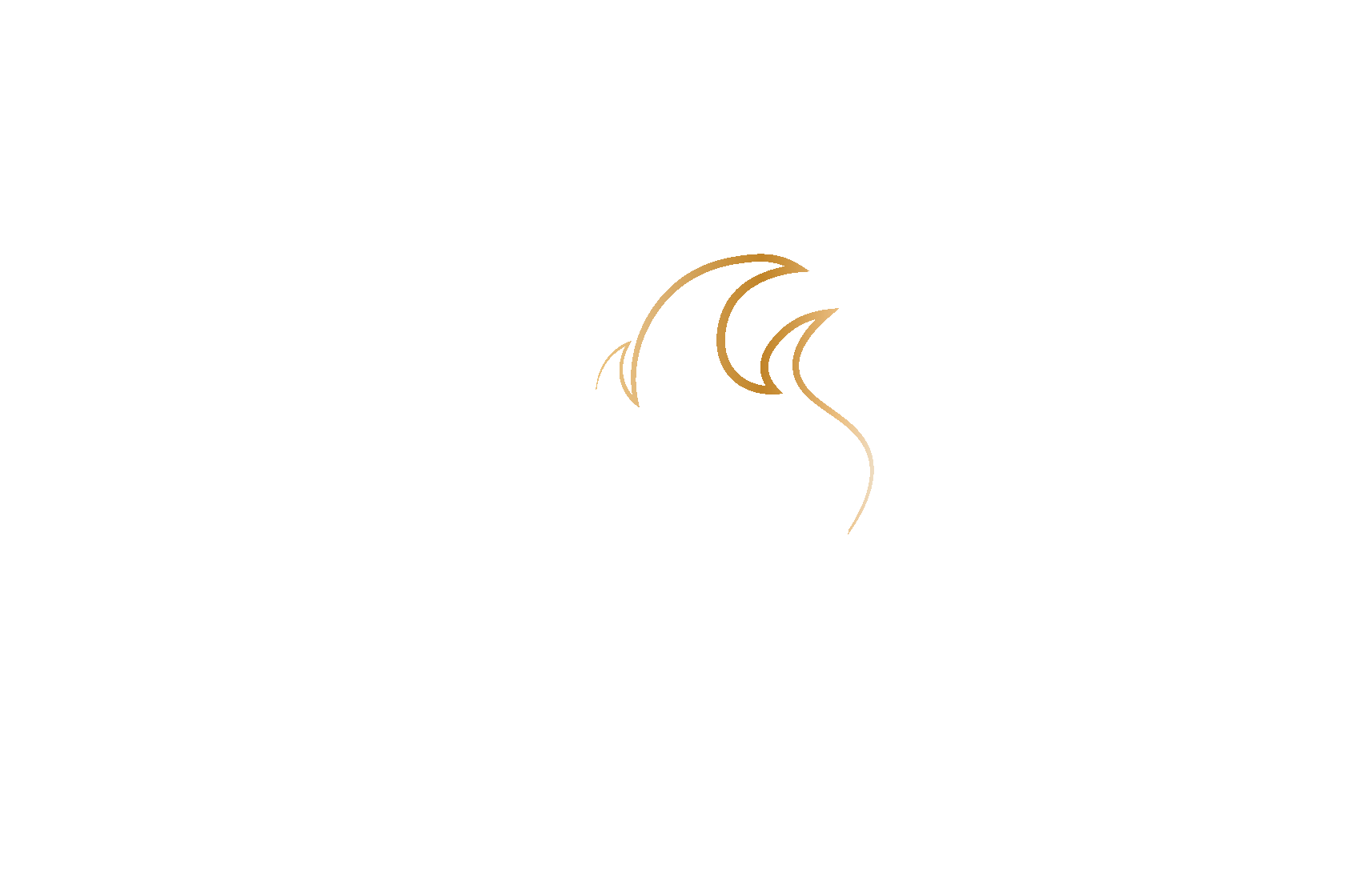 Pizzeria Vera
